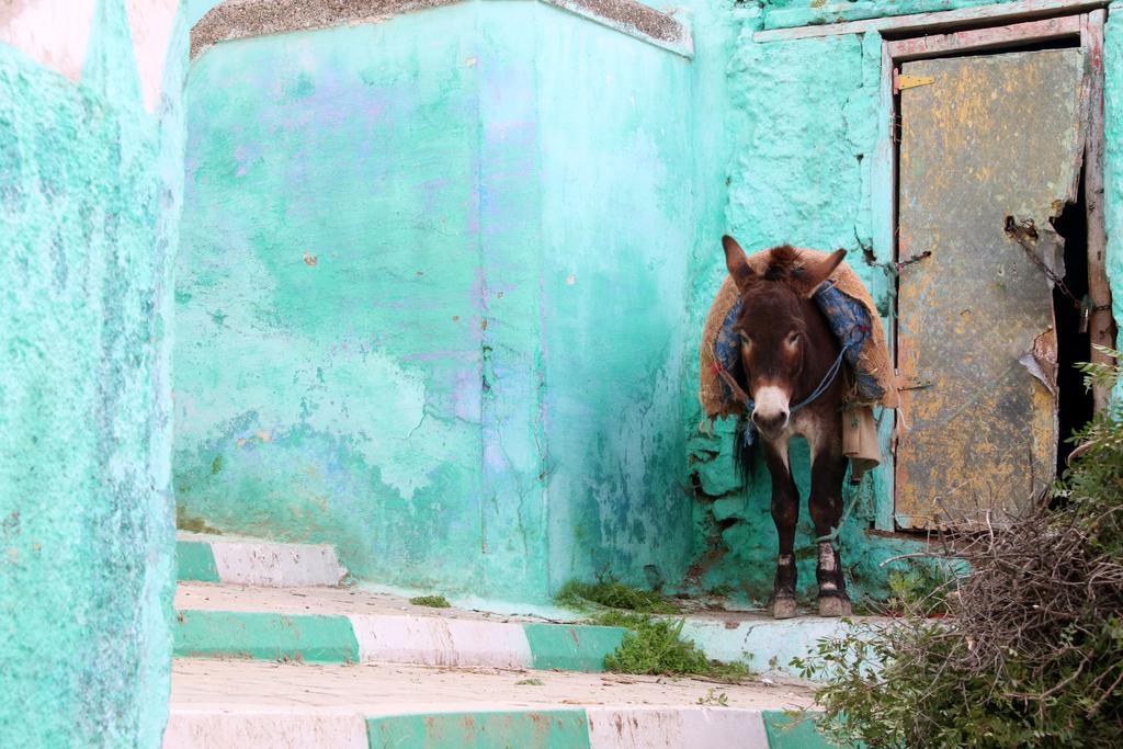 Dar Zerhoune Moulay Idriss Buitenkant foto